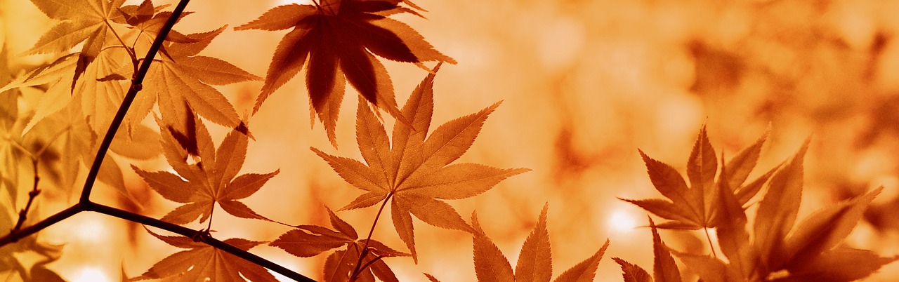 herbst